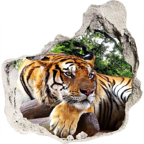 Hole in the wall decal Tiger on the rock