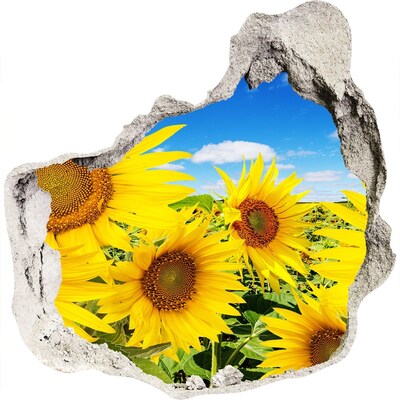 Hole in the wall decal A flower paradise with sunflowers