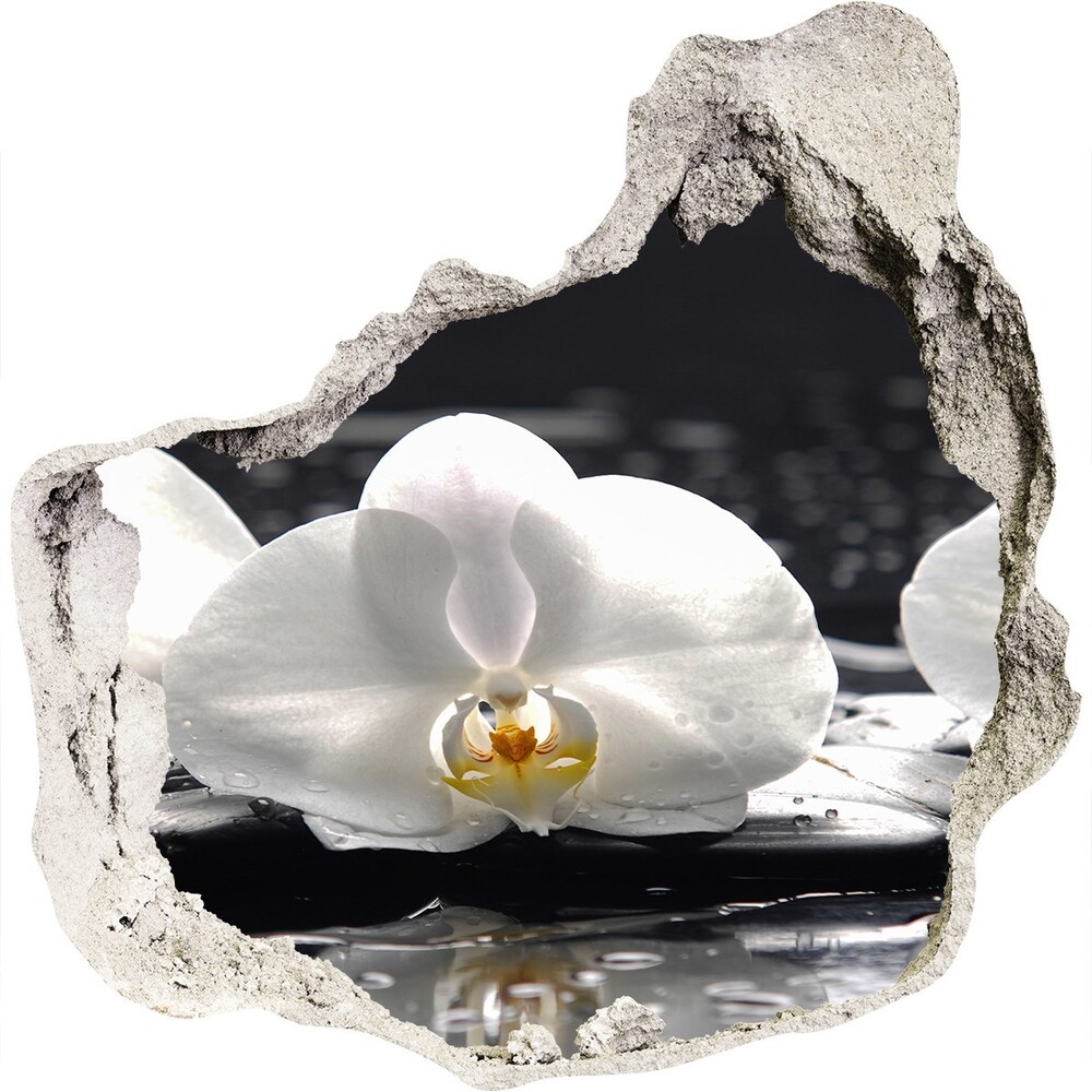 3D wall hole Orchid