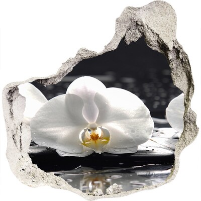 3D wall hole Orchid flower on the water