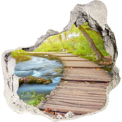 3D wall hole wallpaper Forest path by the river