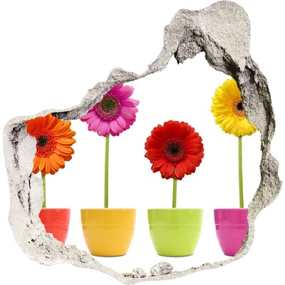 3D wall hole wallpaper Flowers in pots through a hole in the wall