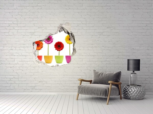 3D wall hole wallpaper Flowers in pots through a hole in the wall