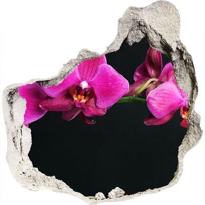 3D wall hole wallpaper Orchid through the wall