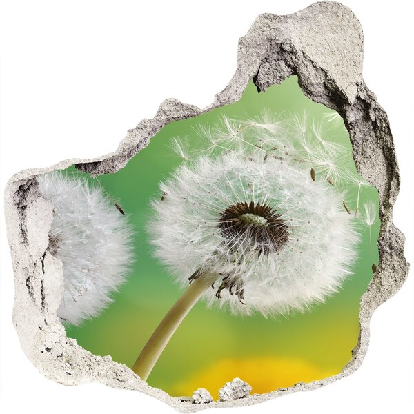 Hole in the wall decal Dandelions in a green background