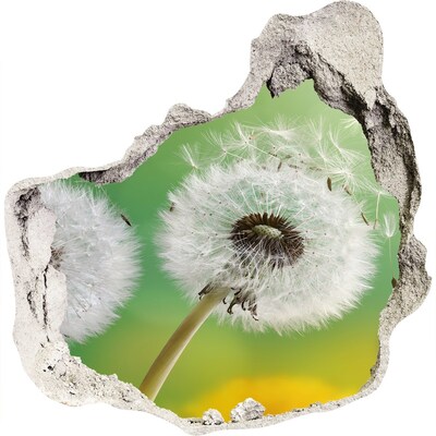 Hole in the wall decal Dandelions in a green background