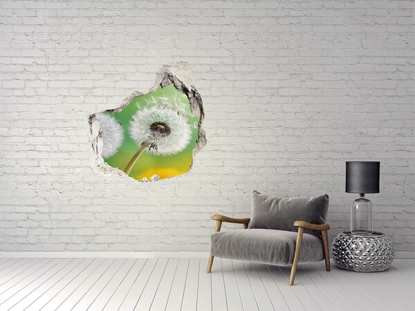 Hole in the wall decal Dandelions in a green background