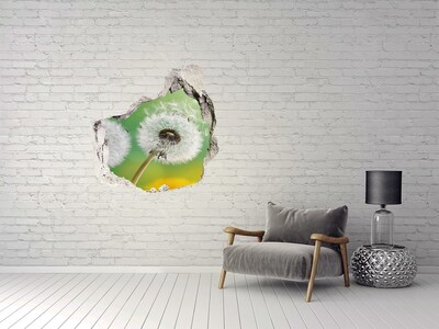 Hole in the wall decal dandelions