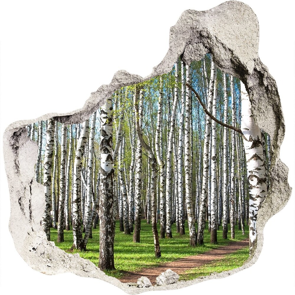 Hole in the wall sticker Birch forest