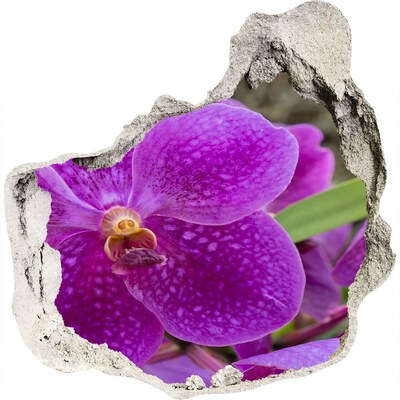 Hole in the wall sticker Orchid flower in a hole in the wall