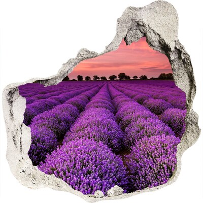3D wall hole Lavender fields at sunset