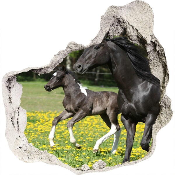 3D wall hole Horses in the meadow