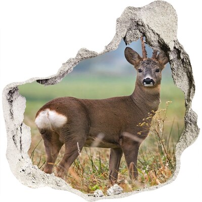 3D wall hole wallpaper Roe deer in its natural habitat