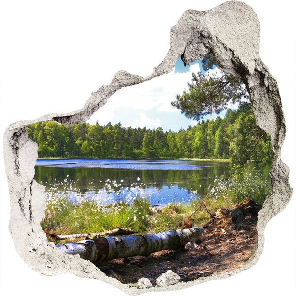 Hole in the wall sticker Green forest by the lake