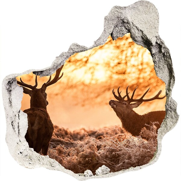 3D wall hole wallpaper Sunrise in the forest