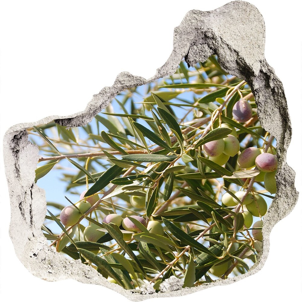 3D wall hole wallpaper Olive tree