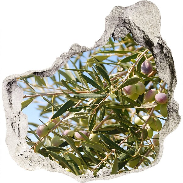 3D wall hole wallpaper Olive tree in the sunlight