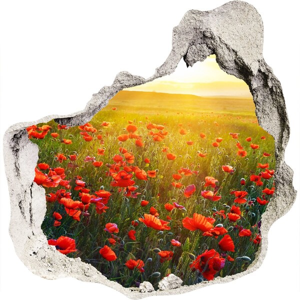 Hole in the wall decal Floral landscape in the meadow