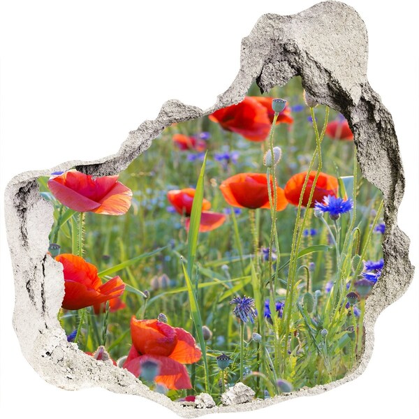 Hole wall sticker Field flowers