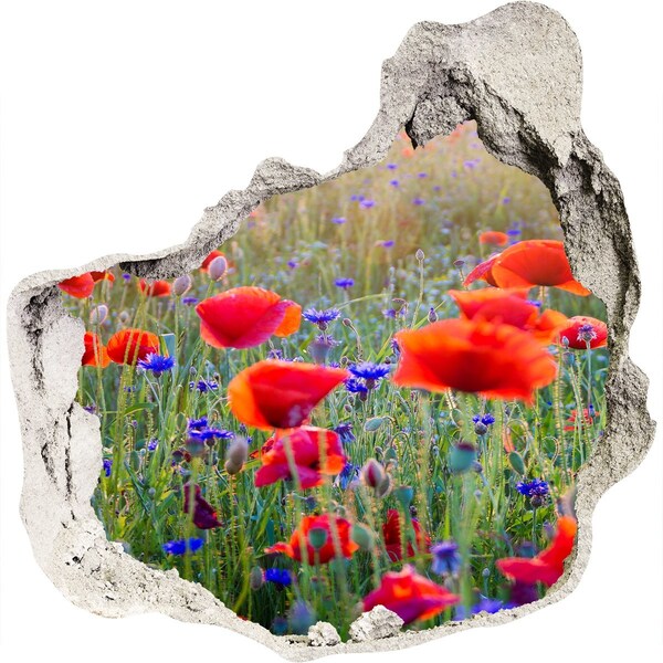 Hole in the wall decal Field flowers