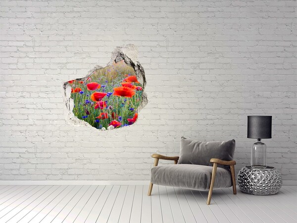 Hole in the wall decal Field flowers