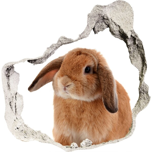 Hole in the wall sticker Rabbit ore