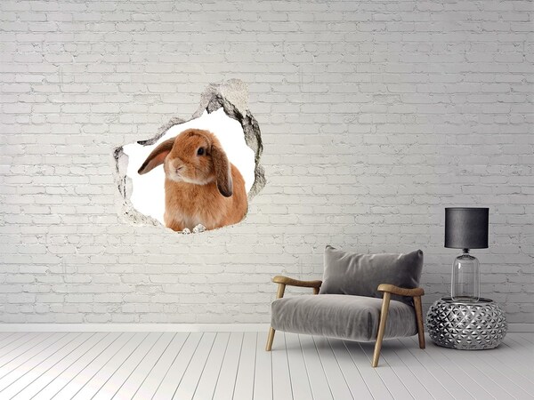 Hole in the wall sticker Rabbit ore