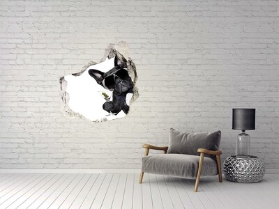3D wall hole Stylish dog with a drink