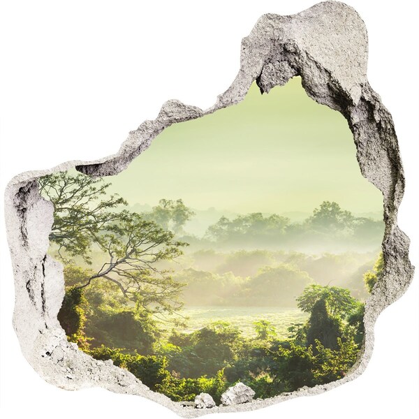 3D wall hole Green valley into the fog