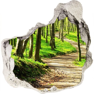 3D wall hole Forest path in the sunshine