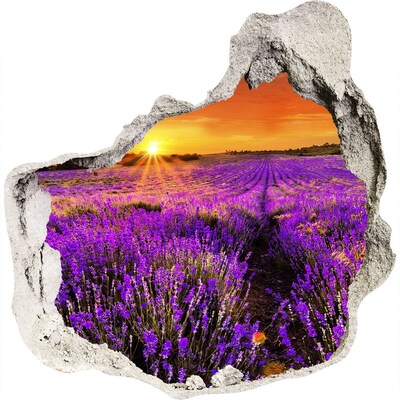 Hole wall sticker Lavender field at sunset