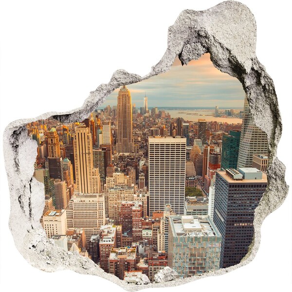 Hole wall sticker View of New York