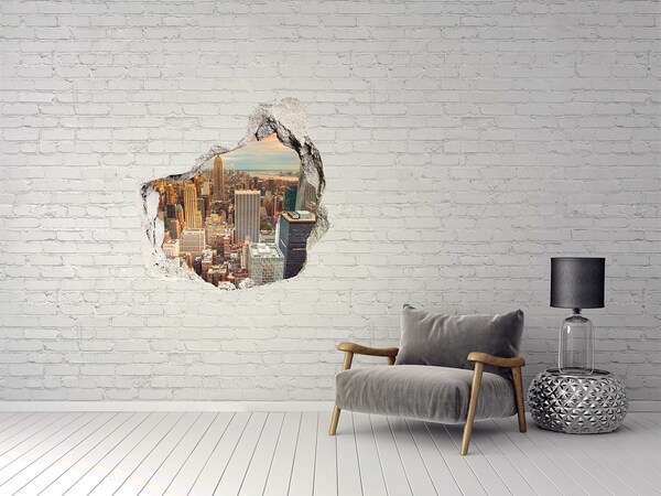 Hole wall sticker View of New York