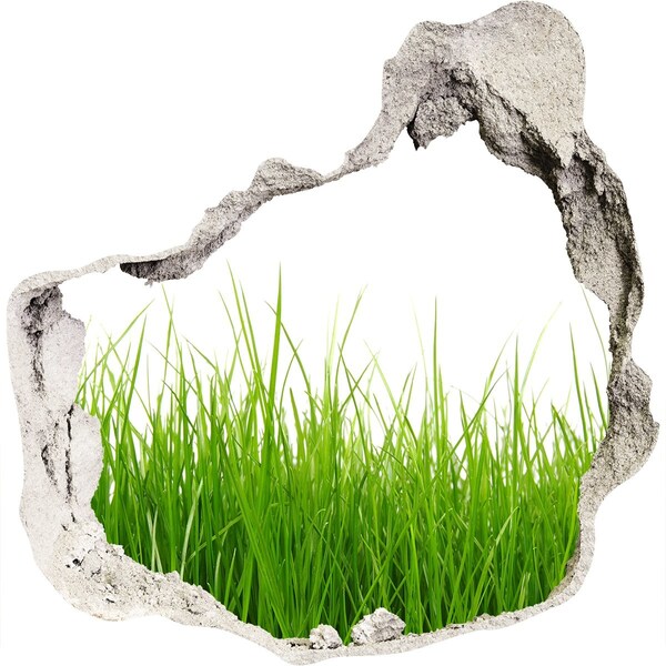 3D wall hole wallpaper Grass