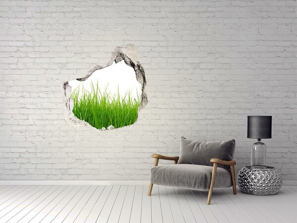3D wall hole wallpaper A green meadow behind the wall