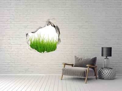 3D wall hole wallpaper A green meadow behind the wall