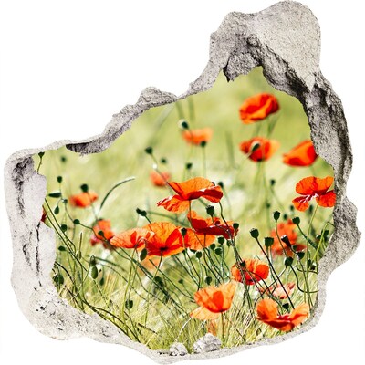 3D wall hole wallpaper A floral paradise among the poppies