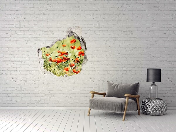3D wall hole wallpaper A floral paradise among the poppies