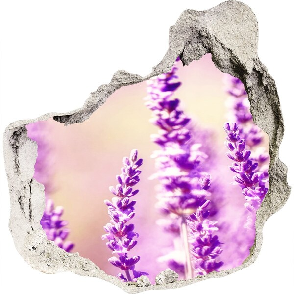 Hole in the wall decal Lavender flowers in a broken wall