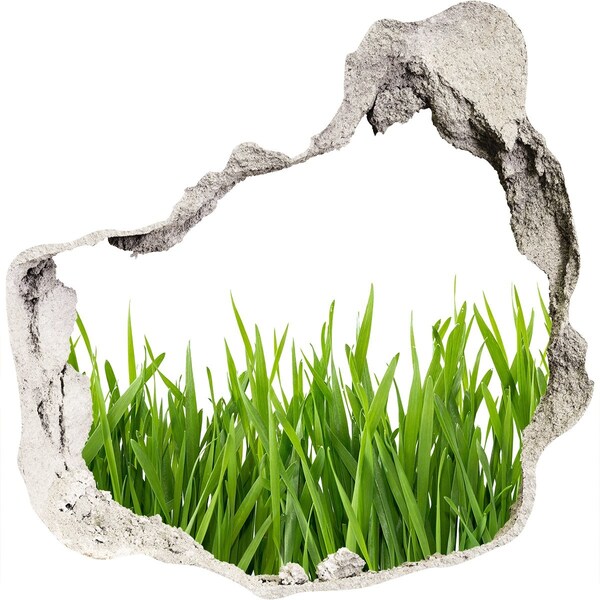 Hole in the wall decal Green meadow behind the wall