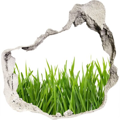 Hole in the wall decal Green meadow behind the wall