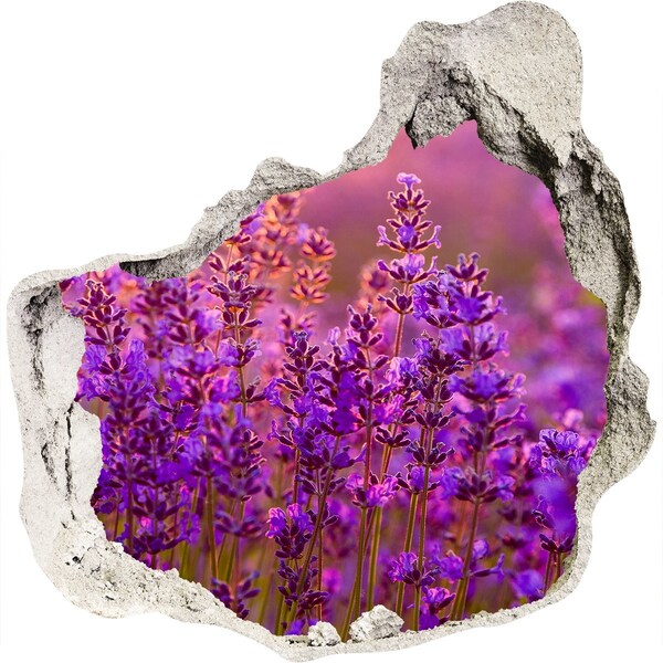 Hole in the wall sticker Lavender flower meadow