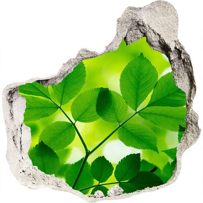 Hole in the wall decal A green oasis in concrete