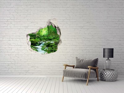 Hole in the wall decal Green stream in the forest