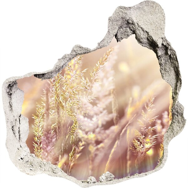 Hole in the wall sticker Flower meadow behind the wall