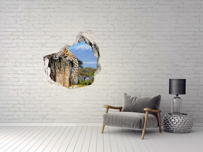 Hole in the wall sticker The sticky gaze of a leopard