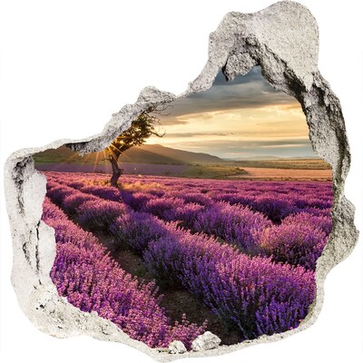 Hole in the wall decal Lavender fields at sunset