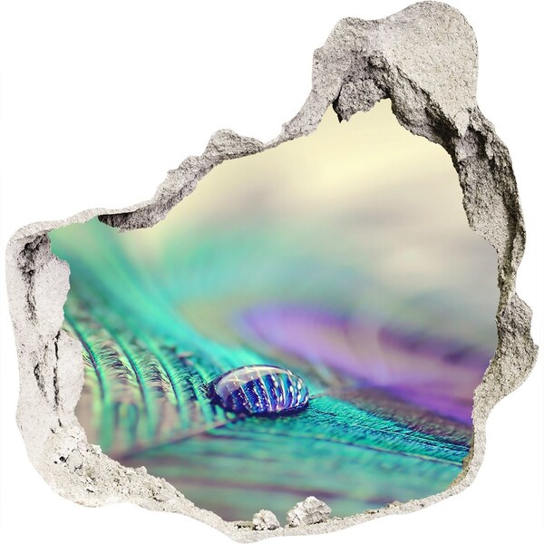 3D wall hole A drop on a peacock's feather