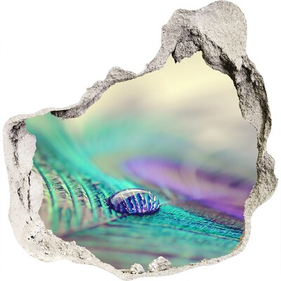3D wall hole A drop on a peacock's feather