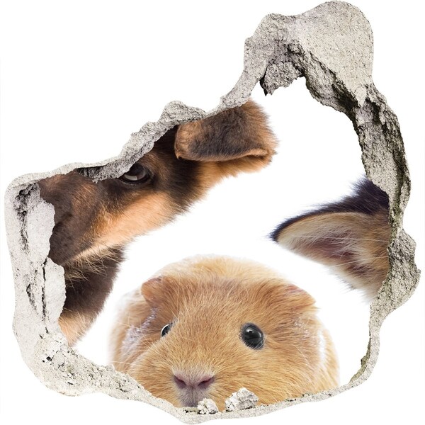 3D wall hole Animals from beyond the wall